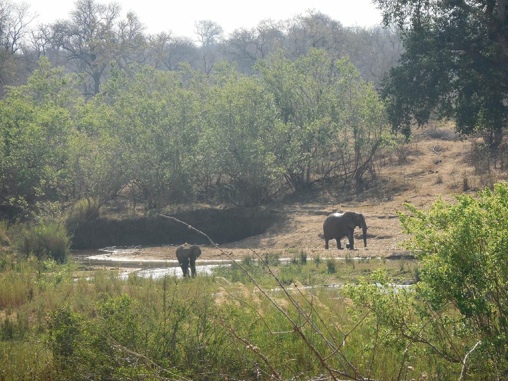 Suedafrika (227)